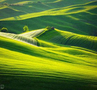 春天连绵山脉绿色草地郊游，清新惊蛰春分摄影图