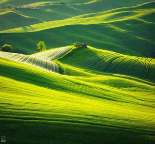 春天连绵山脉绿色草地郊游，清新惊蛰春分摄影图