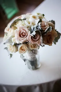 淡雅的玫瑰花图