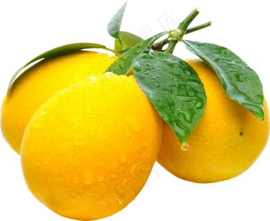 柠檬免抠素材 (43)