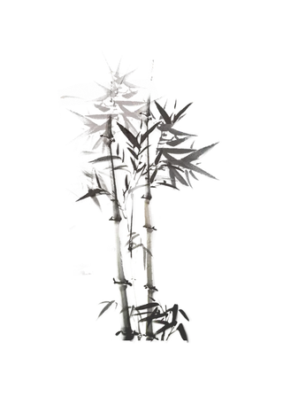 竹子水墨画中国风国画墨水书法竹子画