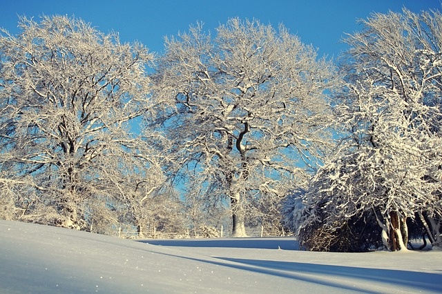冬天白雪背景风景
