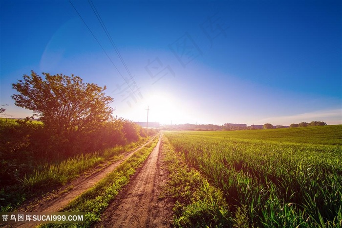 美丽的草原蓝天高清图片