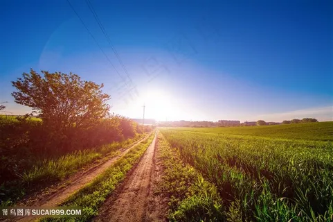 美丽的草原蓝天高清图片 美丽的草原蓝天高清图片