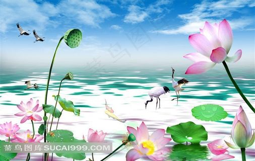 装饰画背景画无框画荷塘