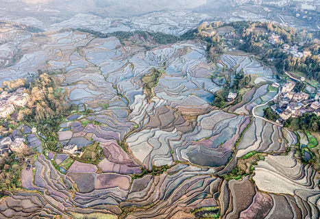 爱村蓝色梯田 爱村蓝色梯田