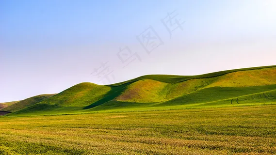 丽藻春葩 丽藻春葩