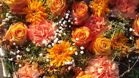 花朵 花束 植物 素材 (38) 花朵 花束 植物 素材 (38)