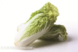 大白菜高清摄影素材