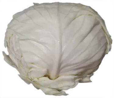 圆白菜包菜莲花白大头菜菜心免抠摄影实拍实物元素素材