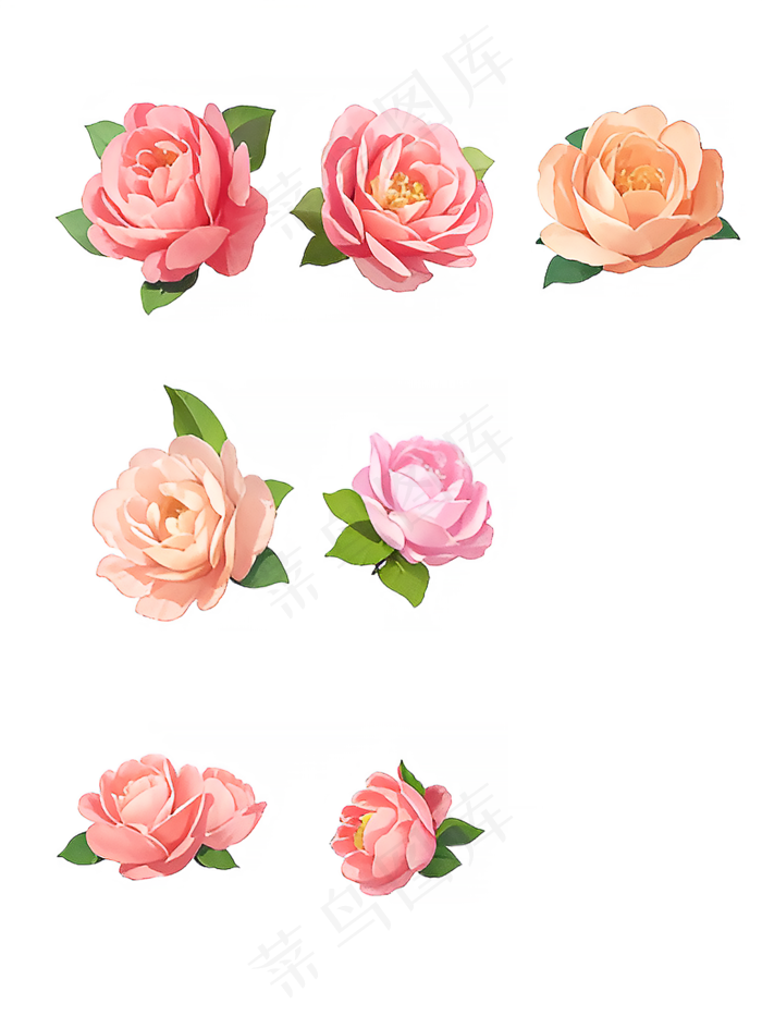 红色 粉色 手绘 免抠 PNG 玫瑰 花 素材15