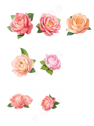 红色 粉色 手绘 免抠 PNG 玫瑰 花 素材15