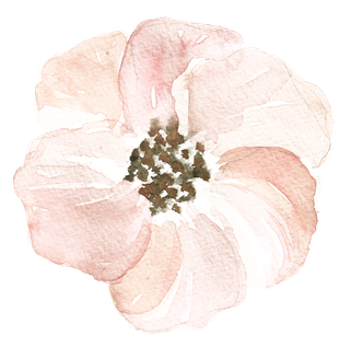 唯美森系手绘水彩花朵 免抠