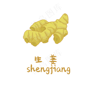 手绘草本中药药材生姜