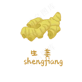 手绘草本中药药材生姜