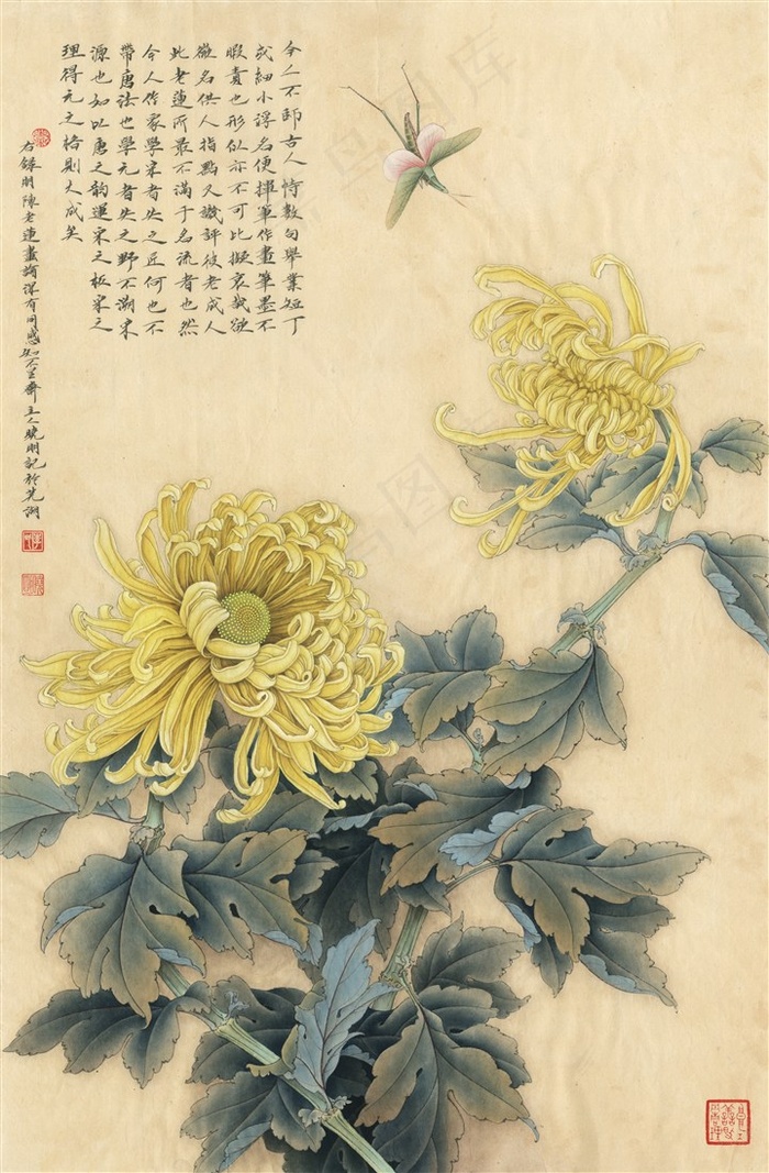 国画图片菊花蚱蜢工笔画图片