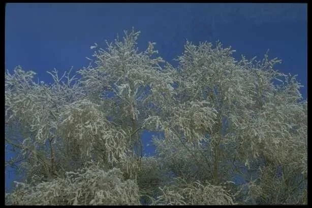 冰雪图片
