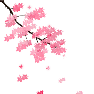 春天浪漫粉红色樱花手绘樱花梅花桃花花朵图片PNG免扣素材