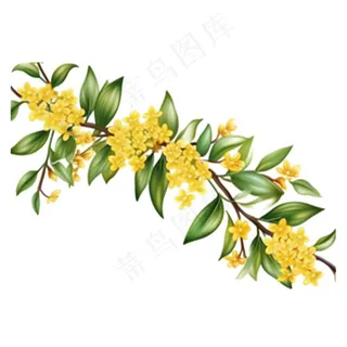 桂花黄花树枝免抠