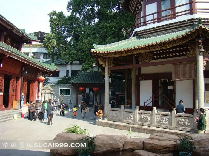 树下的寺庙与游客