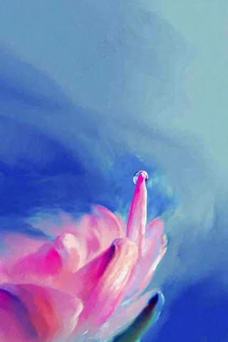 粉蓝渐变鲜花唯美水滴手绘插画