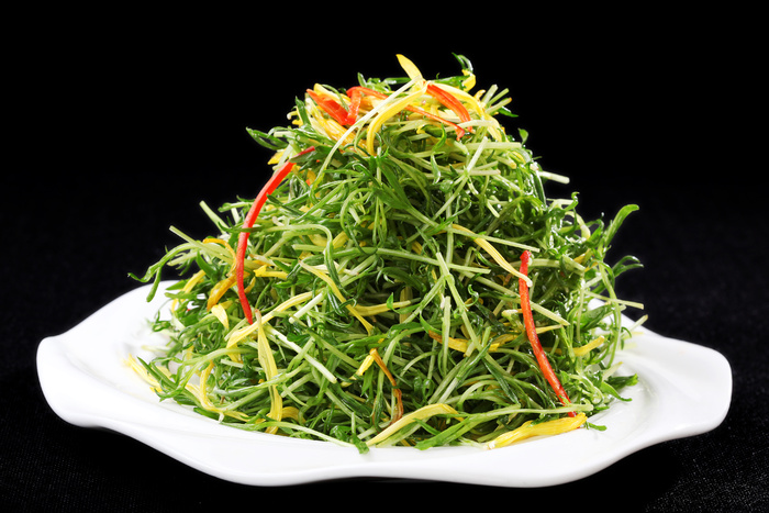 L00929鲜菊草尖