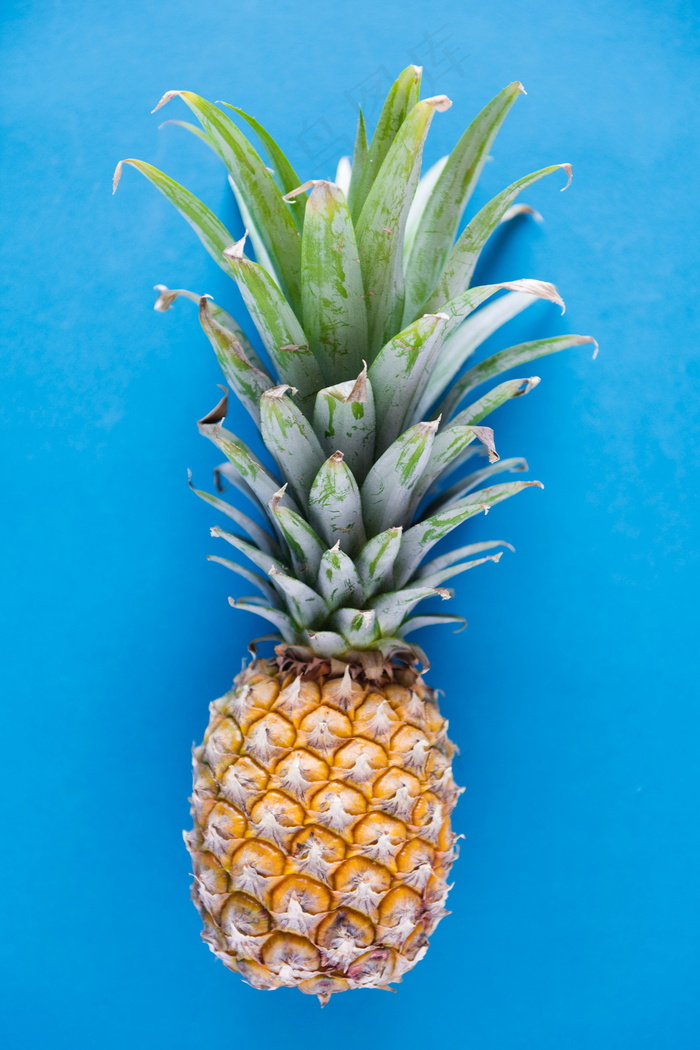 一颗大菠萝图片