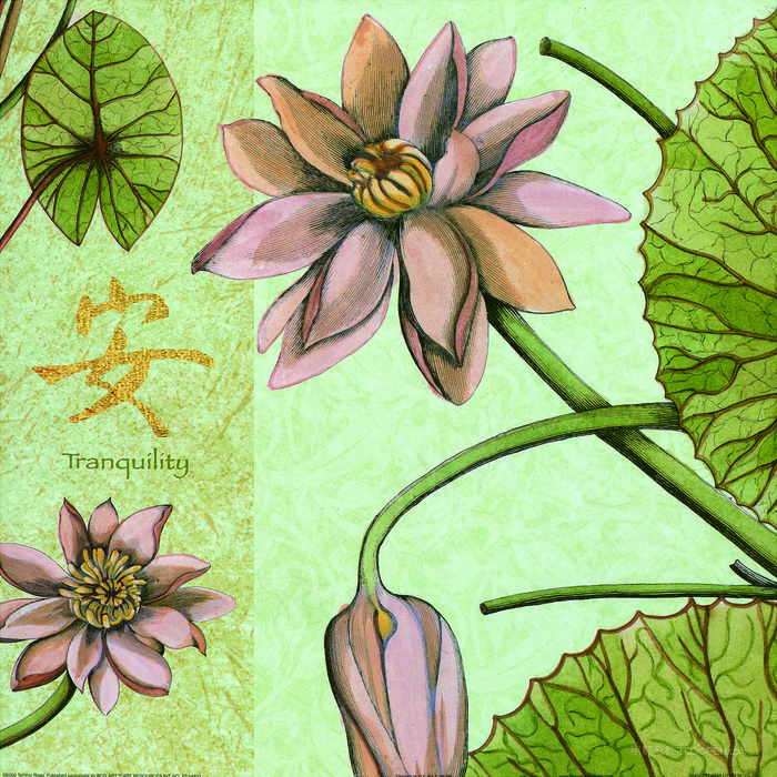 唯美花卉莲花插画