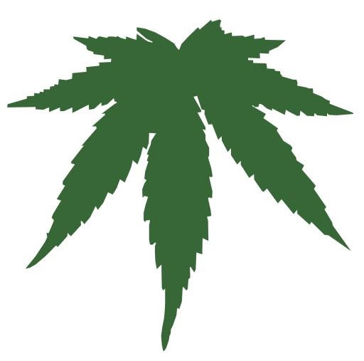 大麻PNG免抠(1969x1952)