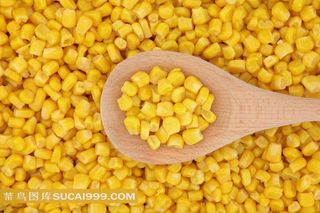 高清玉米粒图片素材