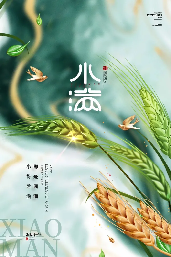 小满 传统节气海报psd模版下载