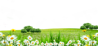 大树与鲜花草丛等元素免抠图片素材