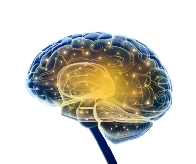 大脑卡通蓝色思维少儿兴趣班素材