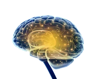 大脑卡通蓝色思维少儿兴趣班素材