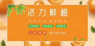 活力鲜橙摄影图宣传展板