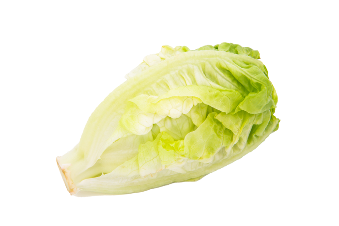 生菜 (9)超市商品白底图免抠实物摄影png格式图片透明底