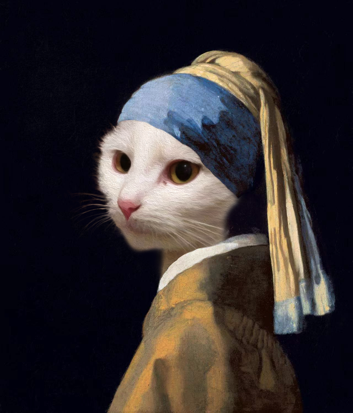 戴珍珠耳环的猫猫