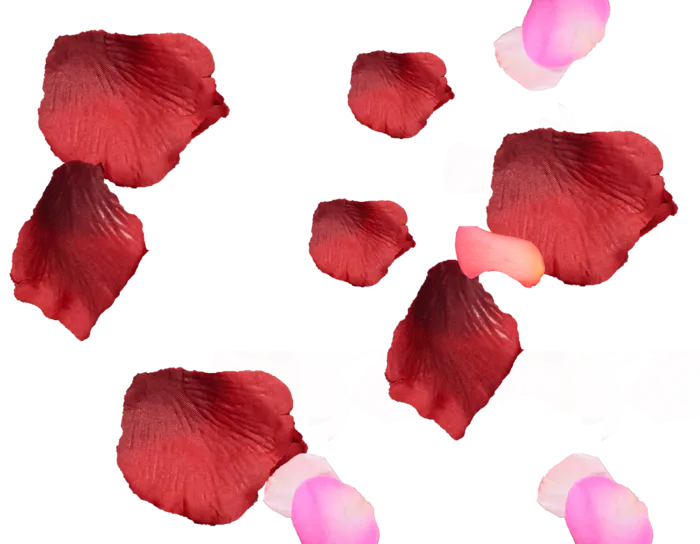 花瓣 免抠 漂浮 花瓣元素