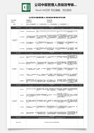 11公司中层管理人员绩效考核评价表