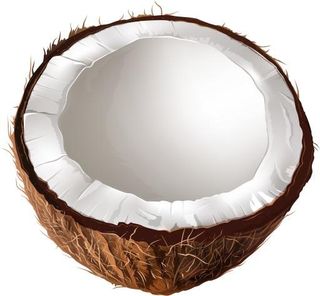 大PNG图像椰子免抠