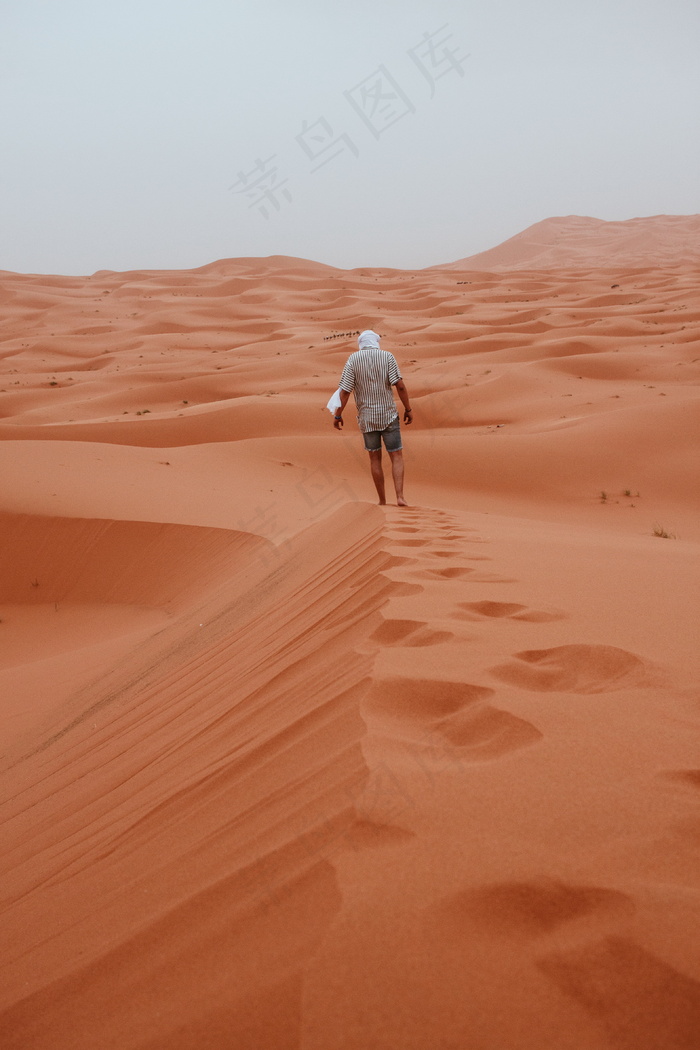 一个人走沙漠背影图片