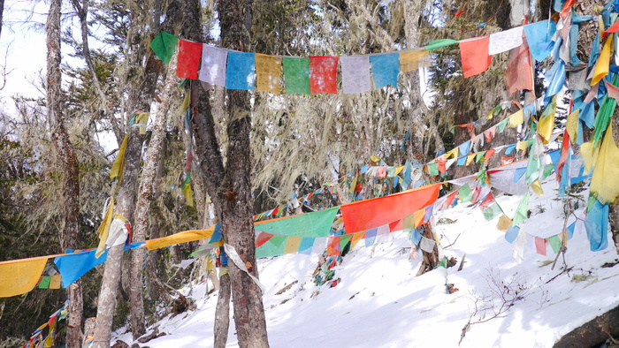 冬季雪山雪景经幡海报