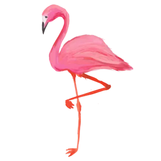 粉色火烈鸟简笔
