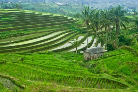漂亮的梯田风景 漂亮的梯田风景