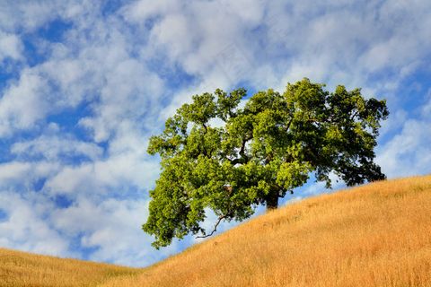 高清唯美风景图片下载