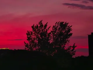 黄昏背景下的爱心树