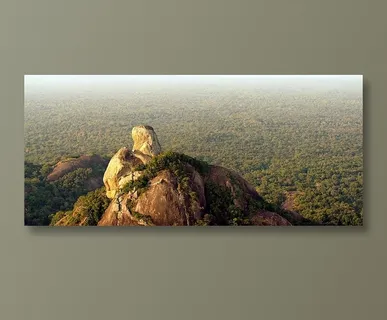 广袤无垠的森林