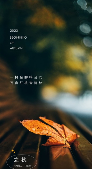 立秋海报