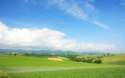 草地风景素材图片下载 草地风景素材图片下载