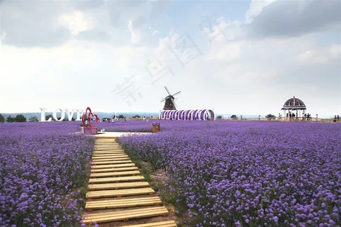 薰衣草庄园唯美风景